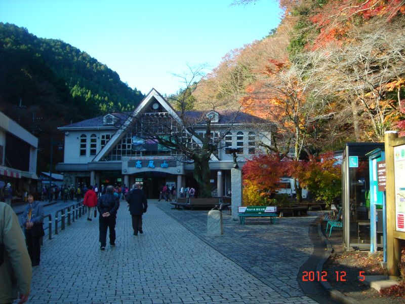 DSC05891_800.jpg